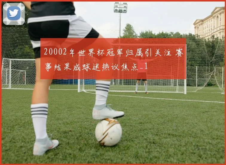 20002年世界杯冠军归属引关注 赛事结果成球迷热议焦点_1